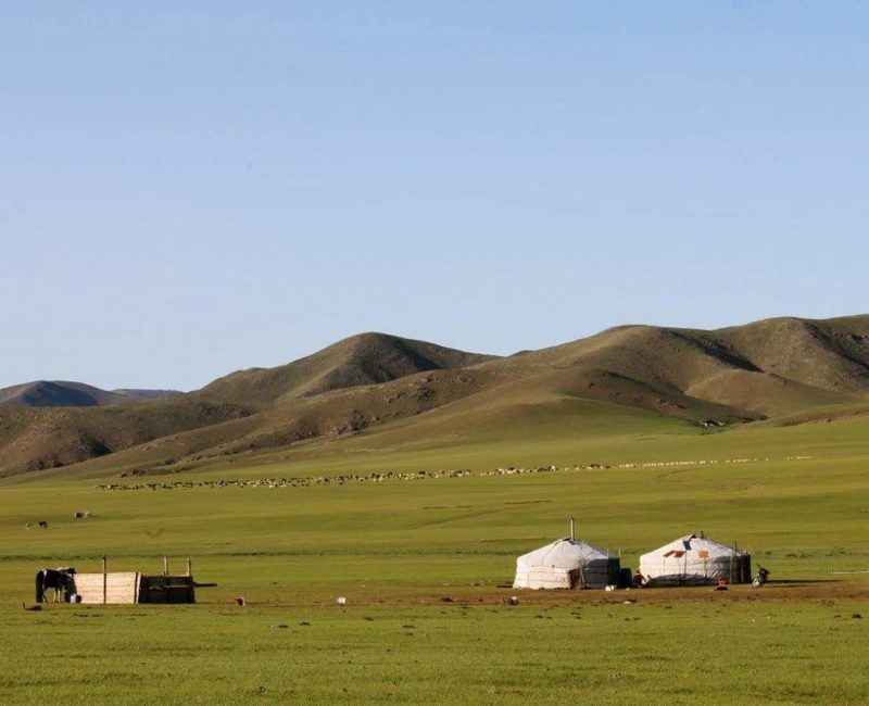 Yourtes dans les steppes mongoles - Mongolie | Au Tigre Vanillé