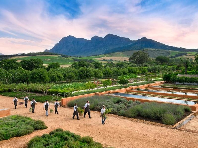 Jardin de l'hôtel Babylonstoren - Afrique du Sud | Au Tigre Vanillé