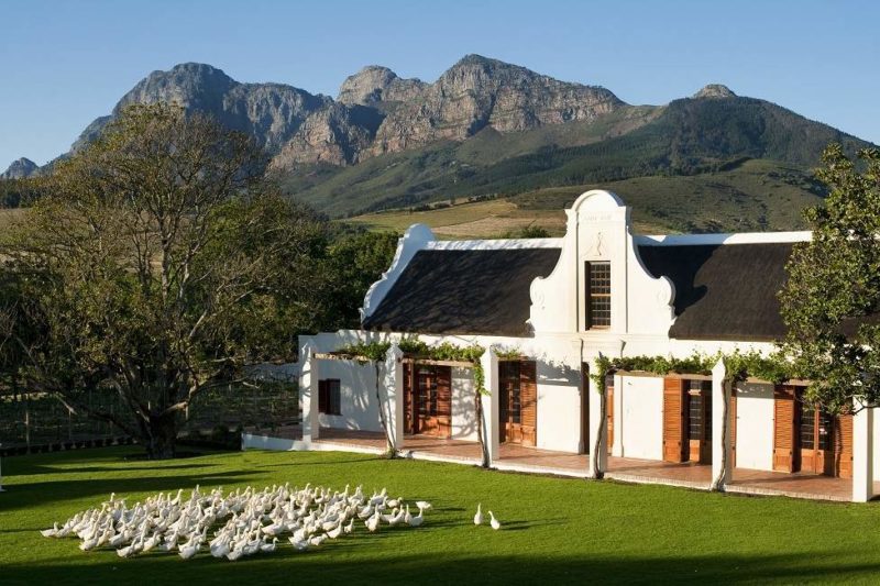 Hôtel Babylonstoren au coeur des vignes - Afrique du Sud | Au Tigre Vanillé