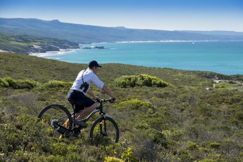 Balade à vélo dans le réserve De Hoop dans l'Overberg - Afrique du Sud | Au Tigre Vanillé