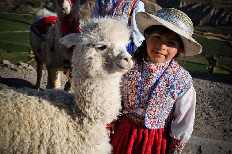 Rencontre avec les habitants et leurs lamas dans le canyon de Colca - Pérou | Au Tigre Vanillé