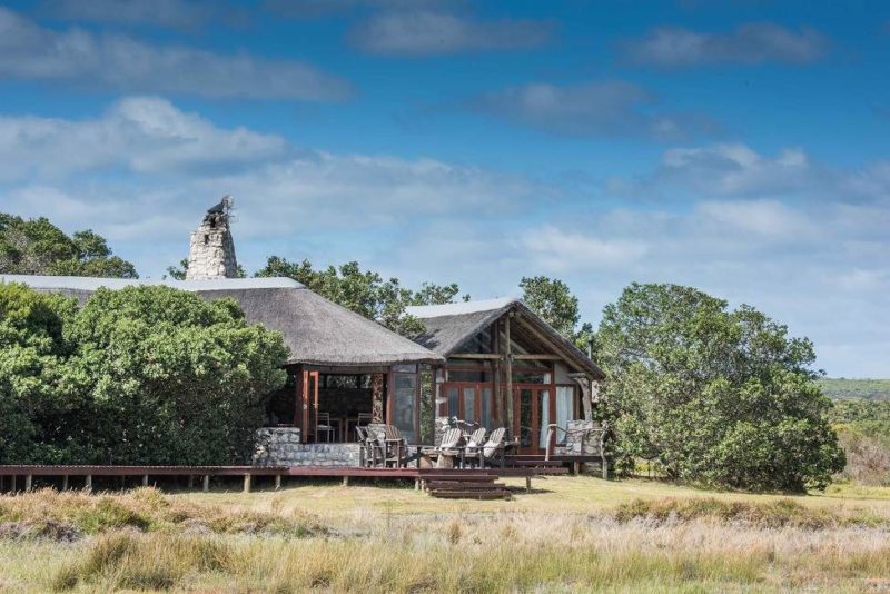 Mosaic Farm dans l'Overberg - Afrique du Sud | Au Tigre Vanillé