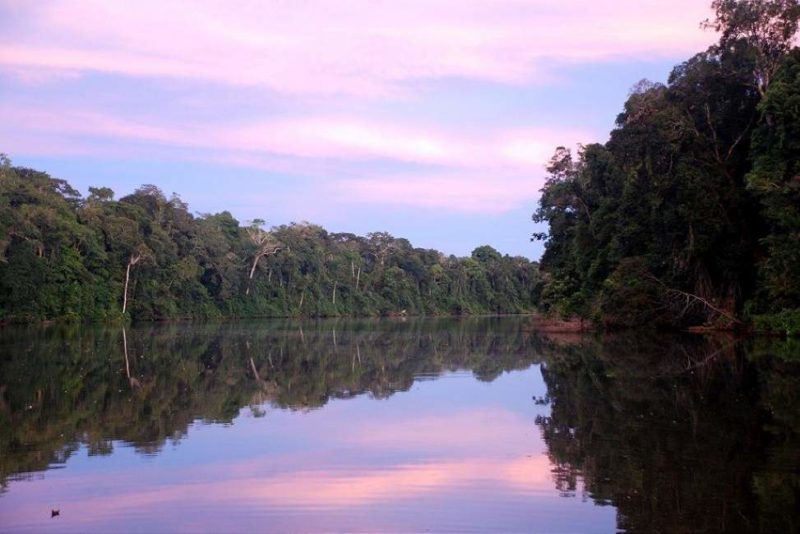 Navigation au coeur du parc de Manu en Amazonie - Pérou | Au Tigre Vanillé