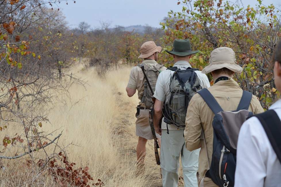 Safari à pied sur le Pafuri trail dans le parc du Kruger - Afrique du Sud | Au Tigre Vanillé