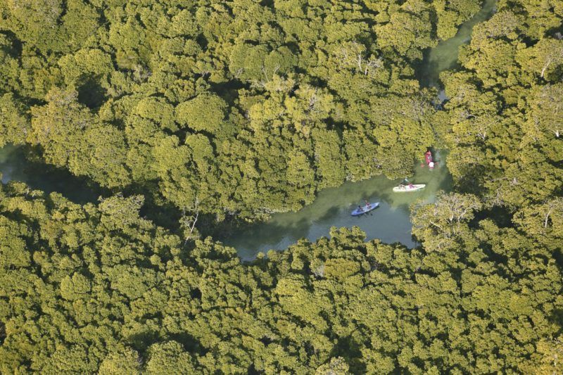 Exploration de la mangrove en canoë, dans l'archipel des Quirimbas - Mozambique | Au Tigre Vanillé