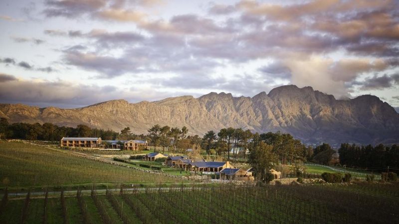 Hôtel The Residence dans les vignes du Cap - Afrique du Sud | Au Tigre Vanillé