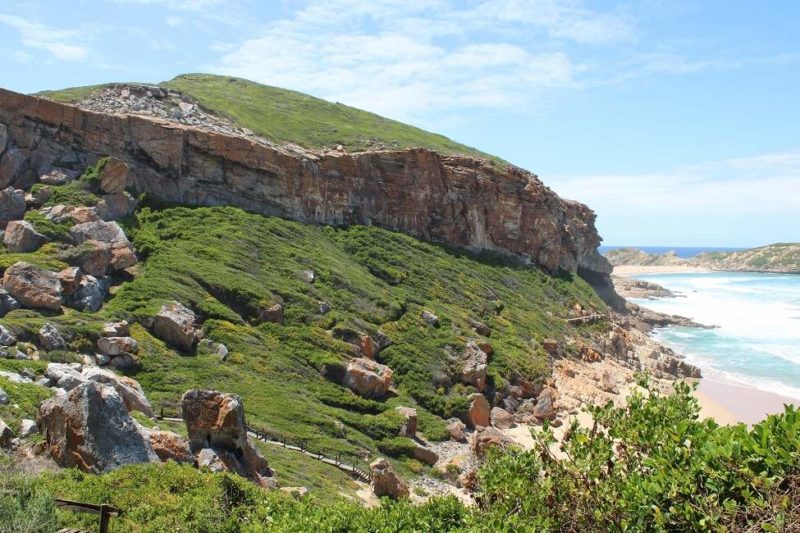 Balade dans la réserve de Robberg - Afrique du Sud | Au Tigre Vanillé