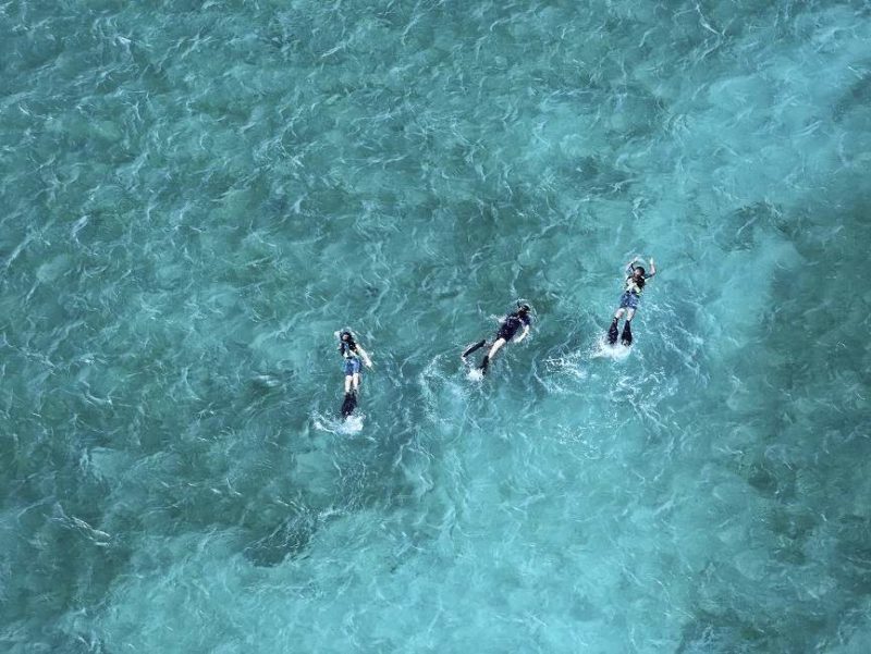 Snorkeling dans l'archipel des Quirimbas - Mozambique | Au Tigre Vanillé