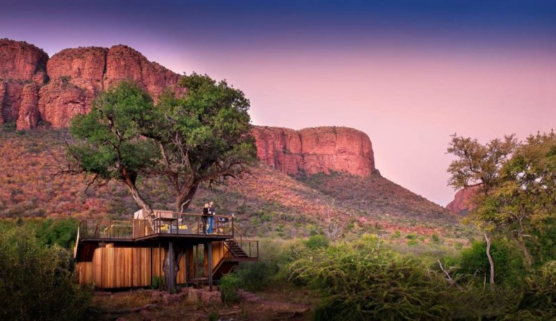 Nuit dans une cabane dans les arbres dans le Waterberg - Afrique du Sud | Au Tigre Vanillé