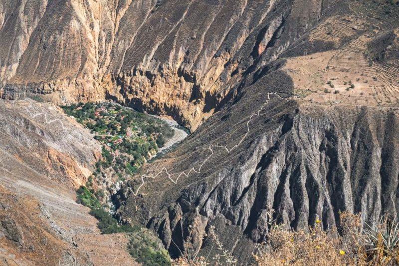 Trek au coeur du canyon de Colca - Pérou | Au Tigre Vanillé