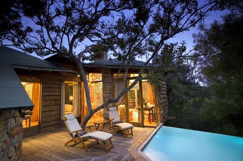 Piscine au Tsala Treetop Lodge - Afrique du Sud | Au Tigre Vanillé