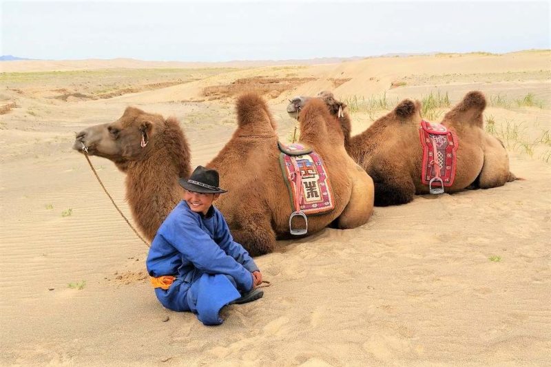 Nomde devant son chameau dans le désert - Mongolie | Au Tigre Vanillé