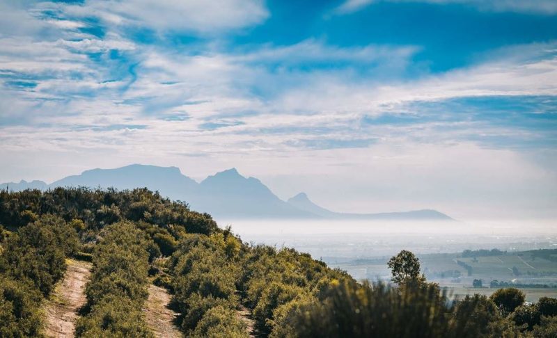 Dégustation de vin dans l'Overberg - Afrique du Sud | Au Tigre Vanillé