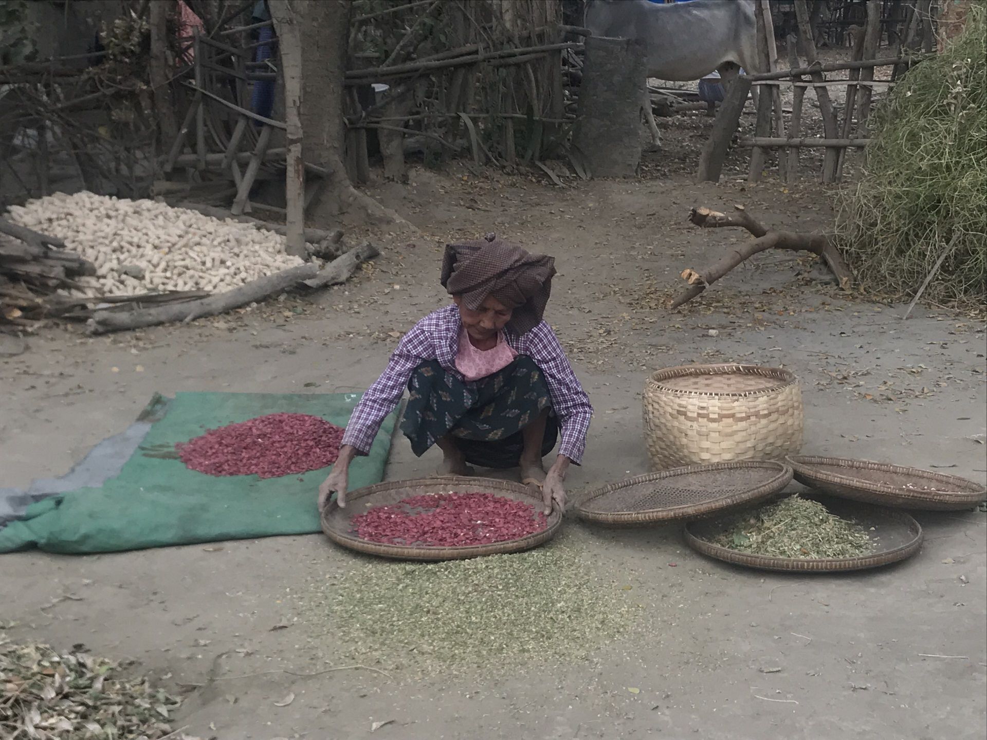 Femme dans un village autonome dans les environs de Bagan - Birmanie | Au Tigre Vanillé