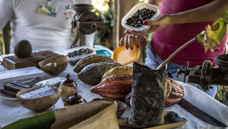 Atelier de cacao à Baracoa - Cuba | Au Tigre Vanillé