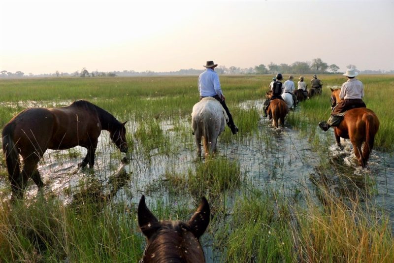 Groupe en safari à cheval dans l'Okavango - Botswana | Au Tigre Vanillé