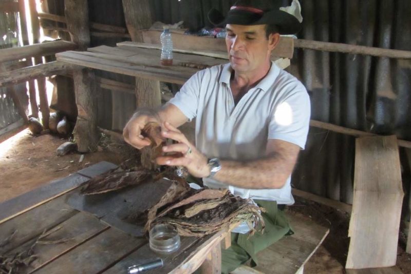 Atelier de fabrication de cigares à Vinales - Cuba | Au Tigre Vanillé