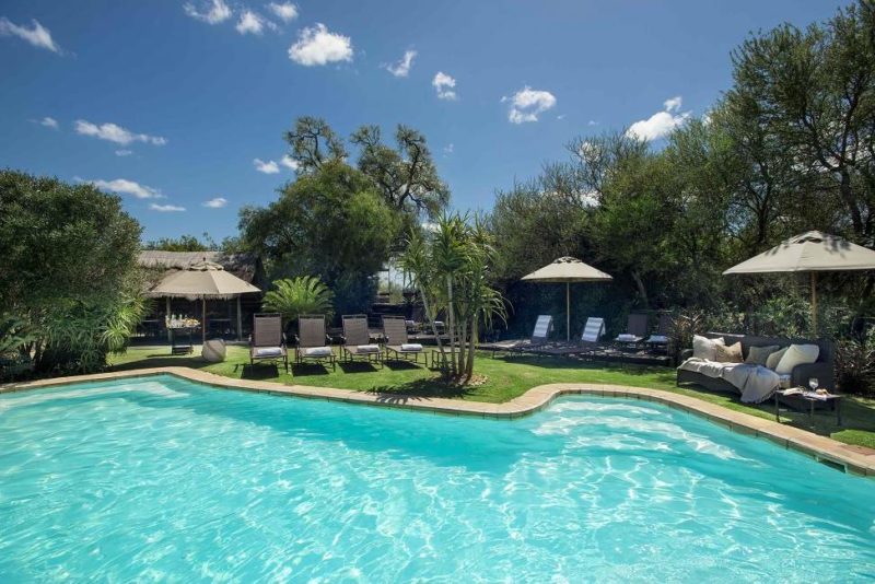 Piscine du Gorah Elephant Camp - Afrique du Sud | Au Tigre Vanillé