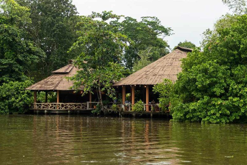 Hôtel Laguna Lodge les pieds dans l'eau, dans le parc Tortuguero - Costa Rica | Au Tigre Vanillé