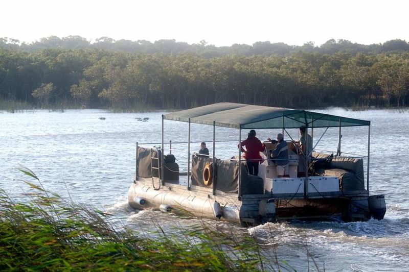 Croisière pour observer les hippopotames dans le Kwazulu Natal - Afrique du Sud | Au Tigre Vanillé