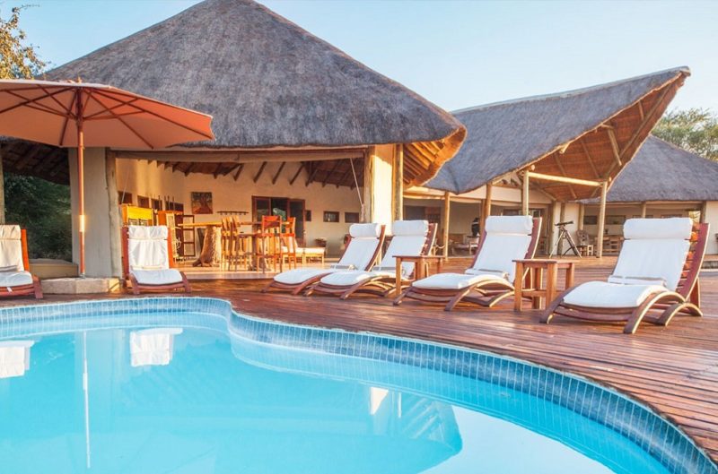 Piscine du lodge Nxai Pan - Botswana | Au Tigre Vanillé