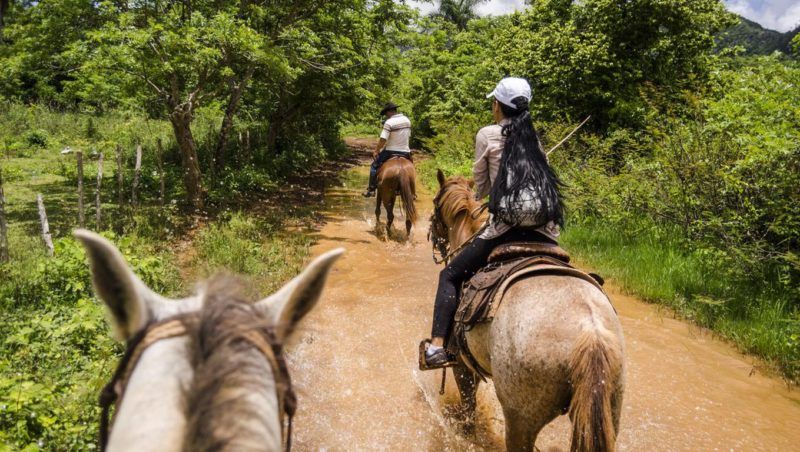 Randonnée à cheval dans la vallée de Vinales - Cuba | Au Tigre Vanillé