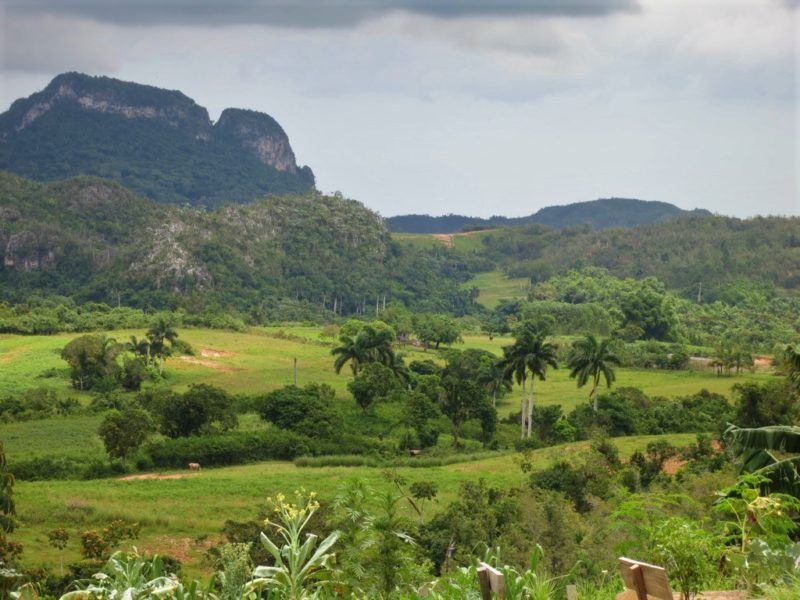 Paysage de la vallée de Vinales - Cuba | Au Tigre Vanillé