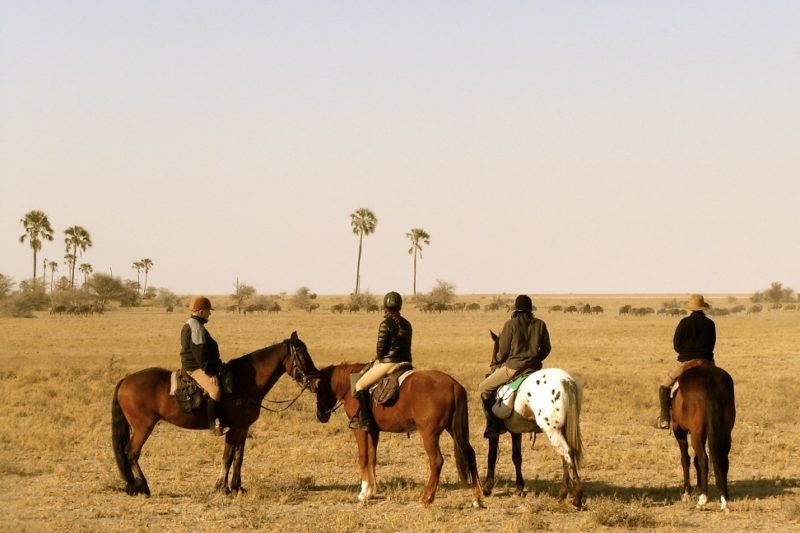 safari-cheval-desert-sel-botswana Quatre personnes à cheval pour un safari dans l'Okavango - Botswana | Au Tigre Vanillé