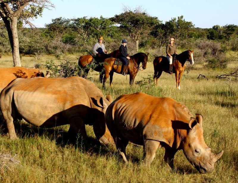 Safari à cheval dans le Waterberg - Afrique du Sud | Au Tigre Vanillé