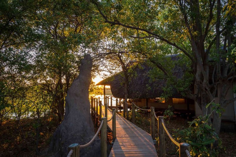 Chemin en bois à travers le lodge Savuti camp - Botswana | Au Tigre Vanillé