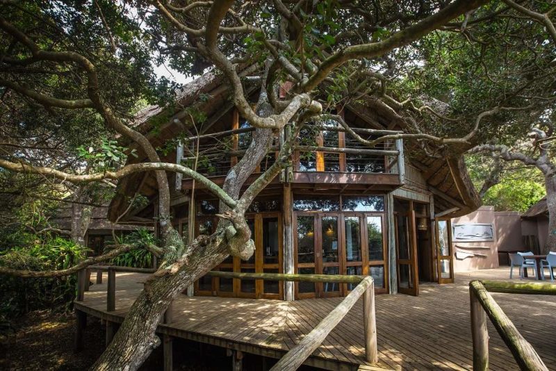 Thonga Beach Lodge dans le Kwazulu Natal - Afrique du Sud | Au Tigre Vanillé