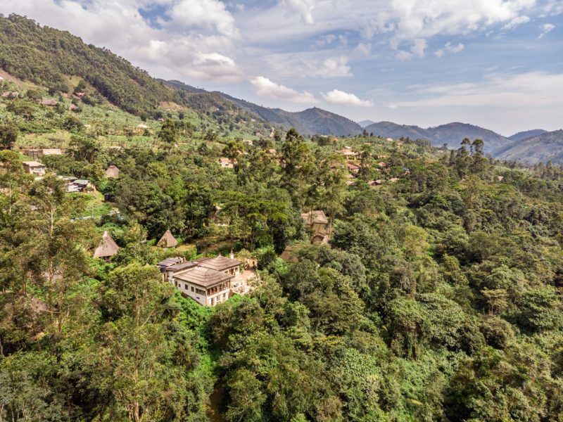 Bwindi Lodge dans le parc national de Bwindi - Ouganda | Au Tigre Vanillé