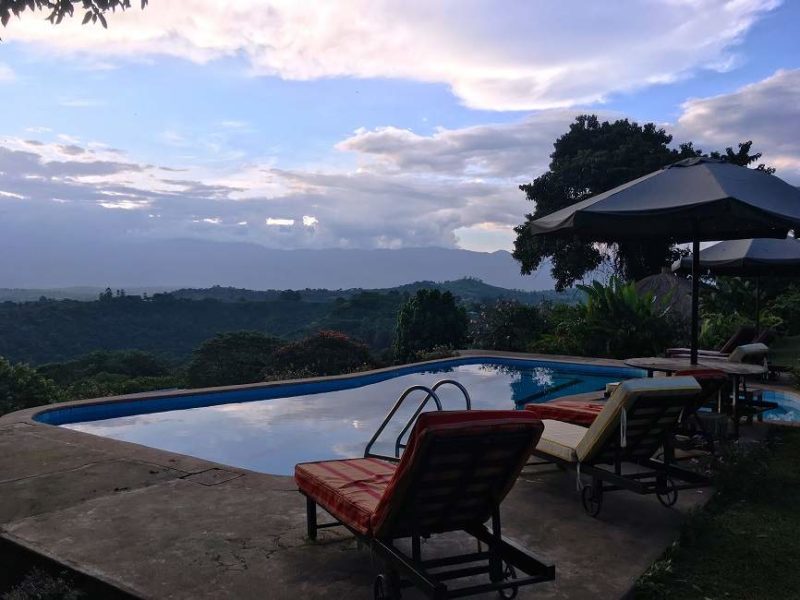 Piscine du Ndali Lodge à Kibale - Ouganda | Au Tigre Vanillé