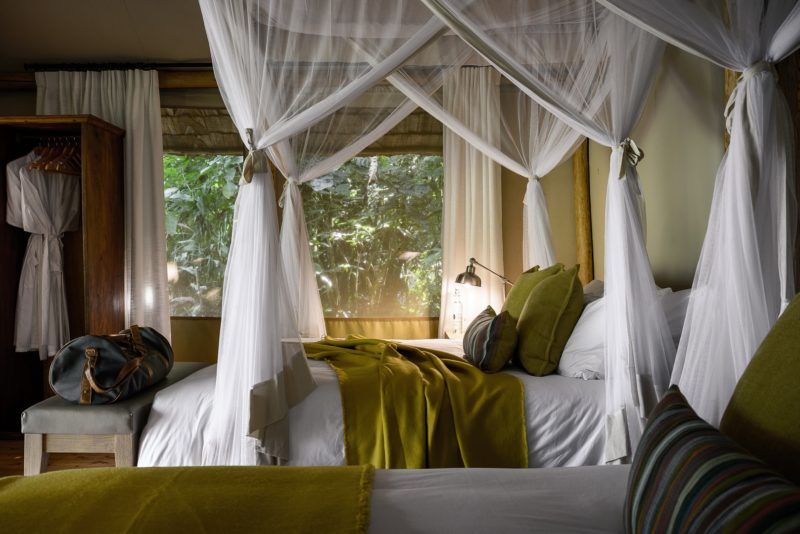 Chambre au Sanctuary Gorilla Forest Camp - Ouganda | Au Tigre Vanillé