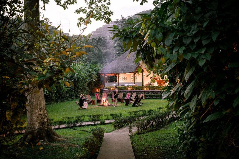 Le Sanctuary Gorilla Forest Camp dans le parc national de Bwindi - Ouganda | Au Tigre Vanillé