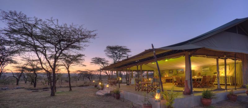 Kicheche Bush Camp dans la réserve du Mara - Kenya | Au Tigre Vanillé