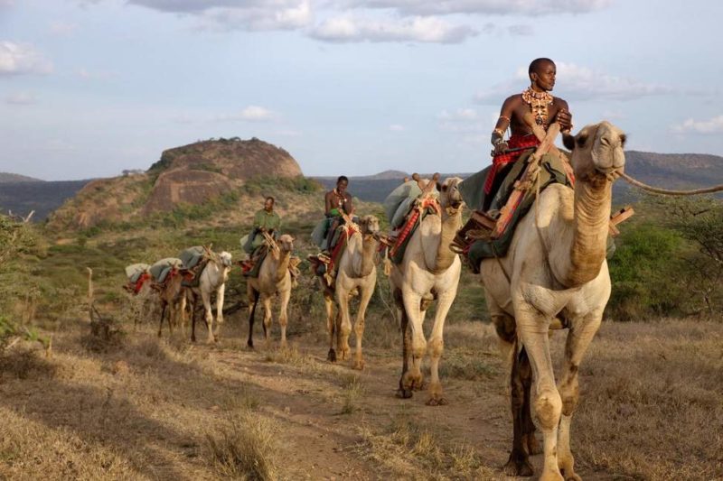 Camp itinérant sur le plateau de Laikipa - Kenya | Au Tigre Vanillé