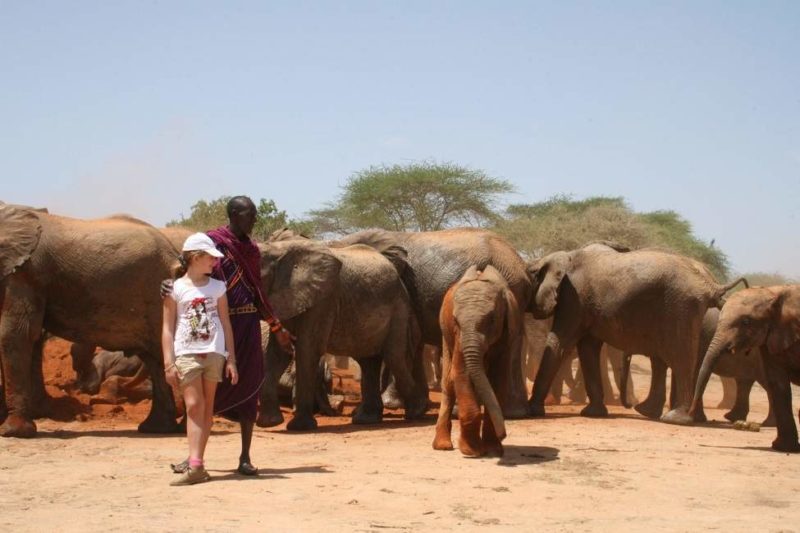 Safari sauvage avec les éléphants de Chyulu - Kenya | Au Tigre Vanillé