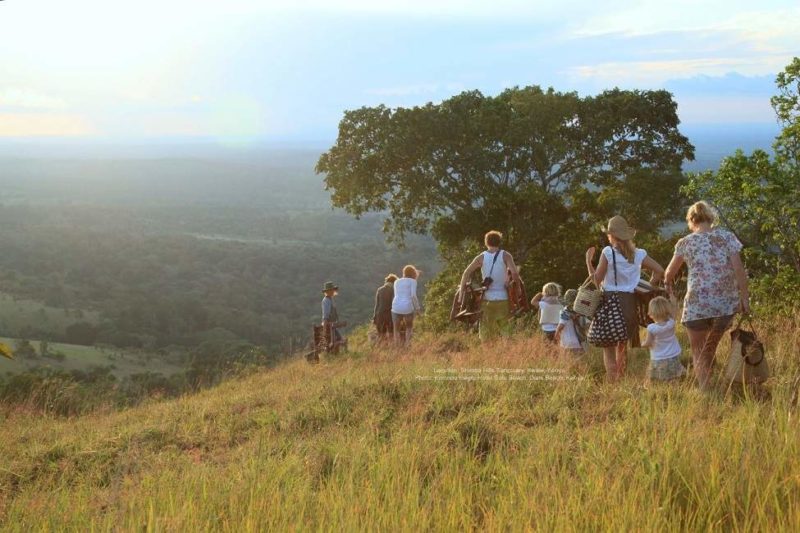 Safari dans le sanctuaire de Shimba - Kenya | Au Tigre Vanillé