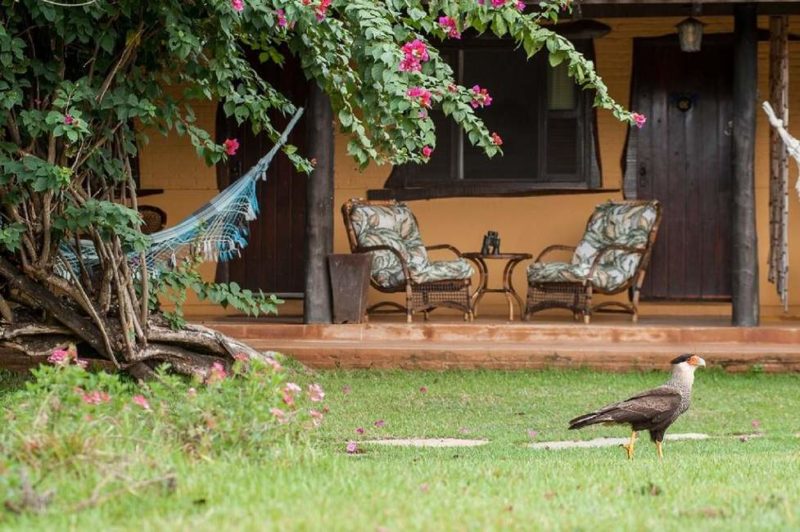 Jardin de l'Araras Ecolodge dans le Pantanal - Brésil | Au Tigre Vanillé