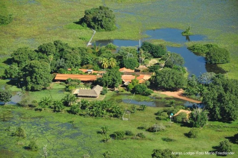 Araras Ecolodge au coeur du Pantanal - Brésil | Au Tigre Vanillé