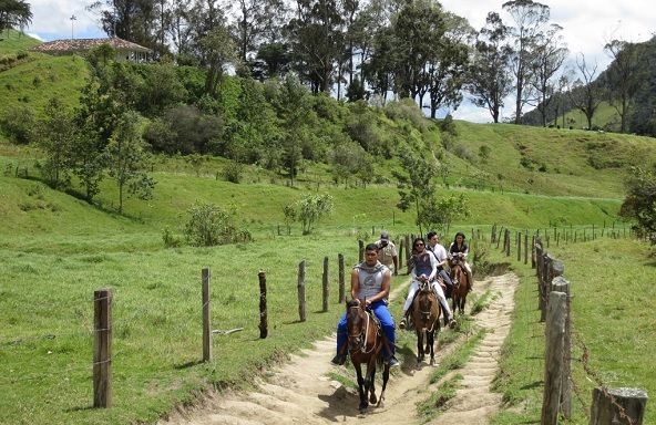 balade-cheval-vallee-cocora-colombie Balade à cheval dans la vallée de Cocora - Colombie | Au Tigre Vanillé