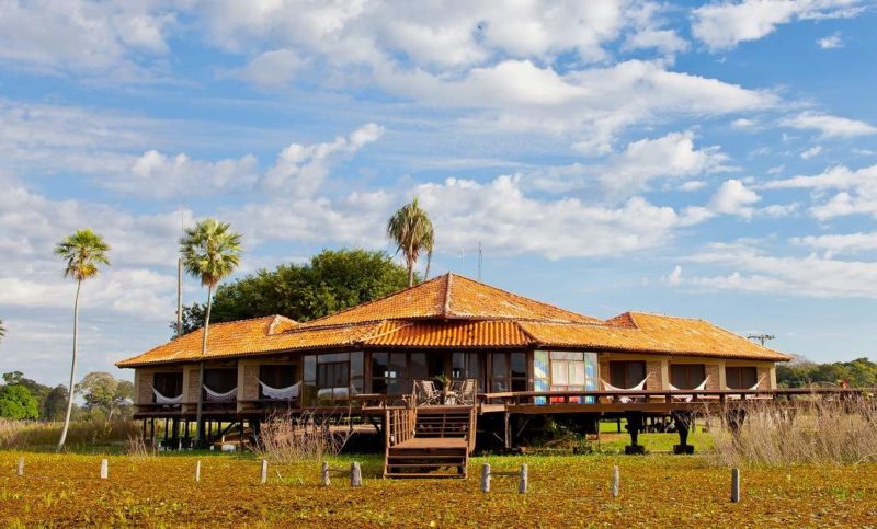 Caiman Lodge dans le Pantanal - Brésil | Au Tigre Vanillé