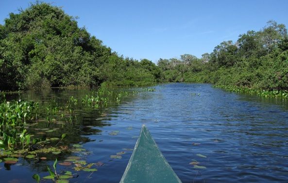 Pirogue sur le fleuve Amazone - Brésil | Au Tigre Vanillé