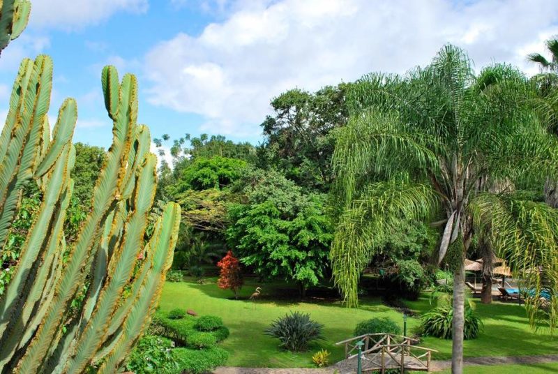 Jardin du Aremeru River Lodge à Arusha - Tanzanie | Au Tigre Vanillé