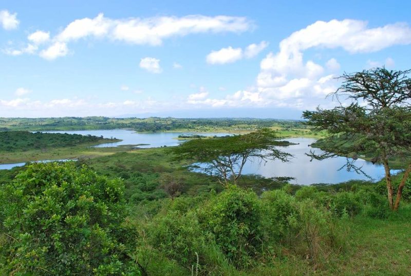 Découverte du parc national d'Arusha - Tanzanie | Au Tigre Vanillé