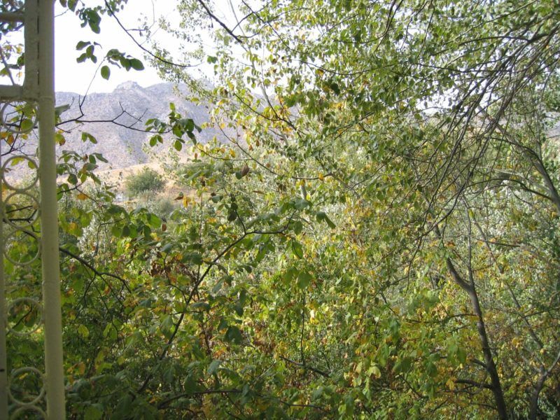 Balade dans les montagnes de Nourata - Ouzbékistan | Au Tigre Vanillé
