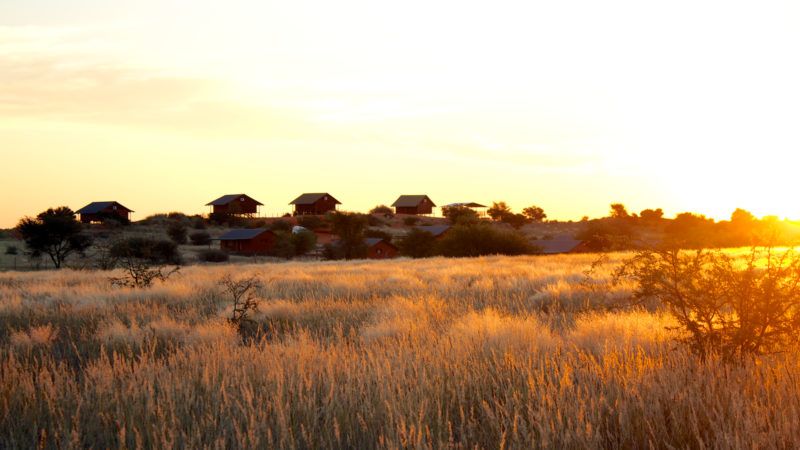 Hôtel Bagatelle Kalahari dans le Mariental - Namibie | Au Tigre Vanillé