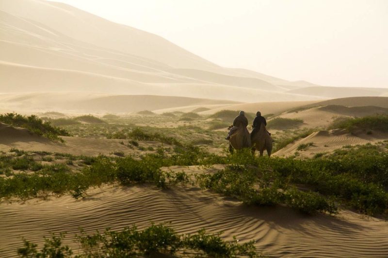 Balades dans les dunes du Petit Gobi - Mongolie | Au Tigre Vanillé