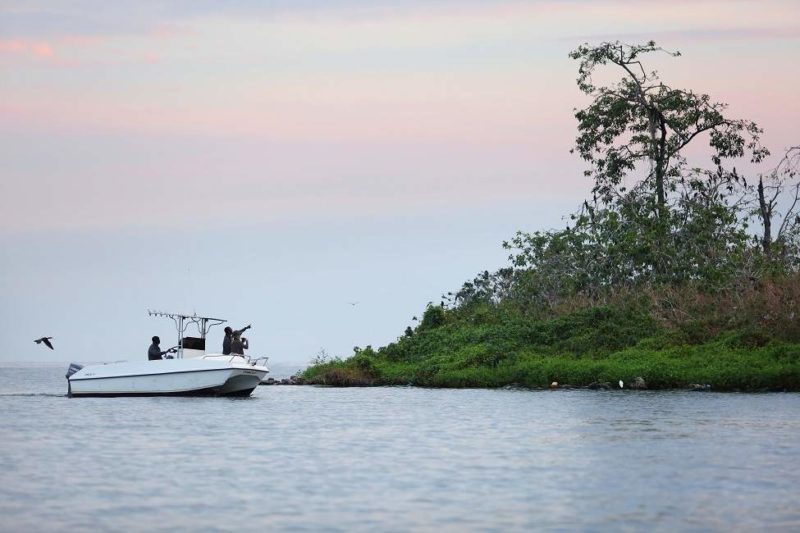 Balade en bateau sur le lac Victoria - Tanzanie | Au Tigre Vanillé